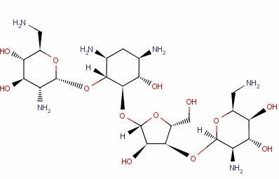 新霉素?zé)晒鈾z測試紙條