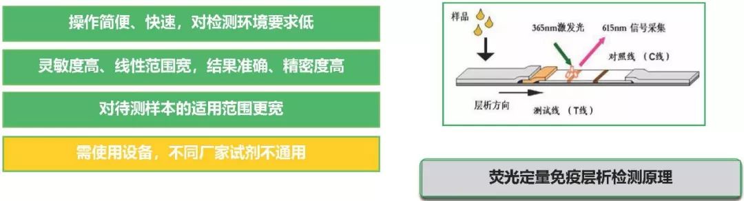 熒光定量免疫層析法