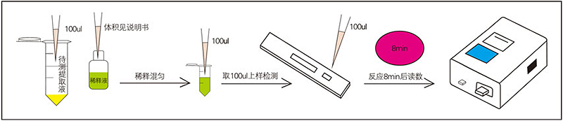 赭曲霉檢測(cè)過(guò)程