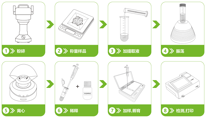 飼料中呋喃妥因衍生物熒光定量快速檢測(cè)卡檢測(cè)流程