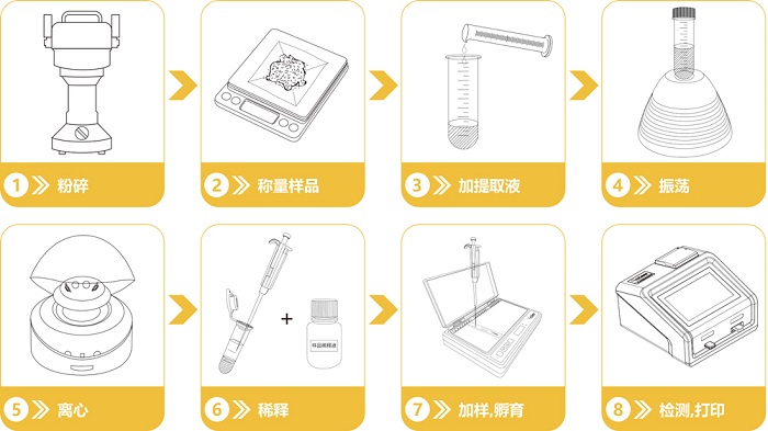 赭曲霉毒素快速定量檢測(cè)卡檢測(cè)流程