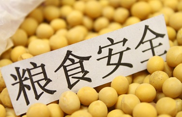 糧食安全檢測(cè)